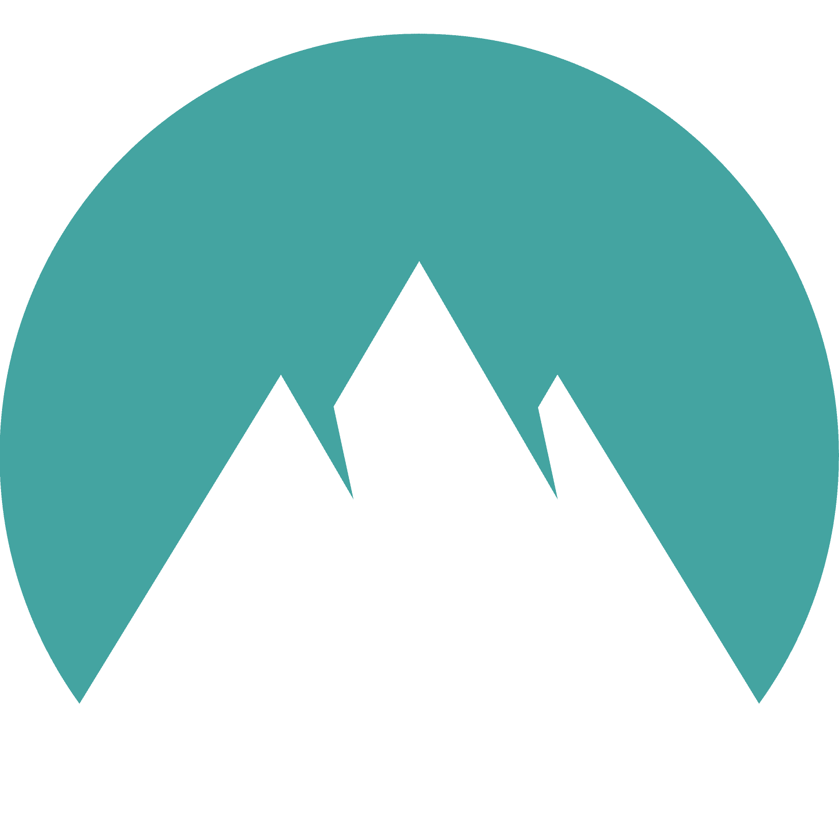 NordPass logo